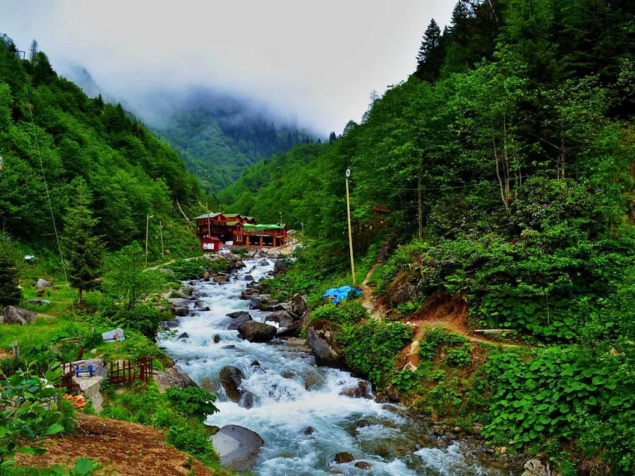 Karadeniz’in Yeşil Rüyasına Yolculuk