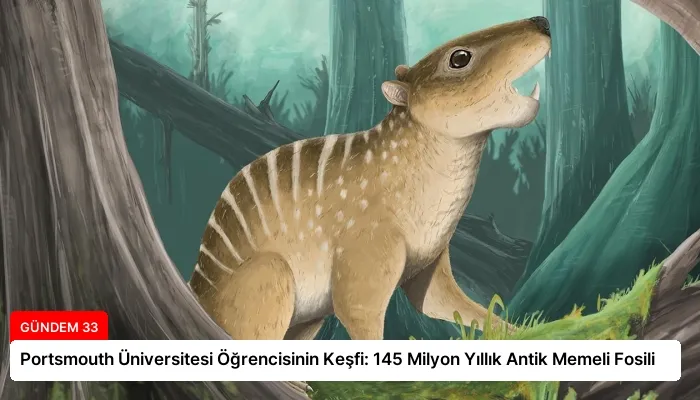 Portsmouth Üniversitesi Öğrencisinin Keşfi: 145 Milyon Yıllık Antik Memeli Fosili