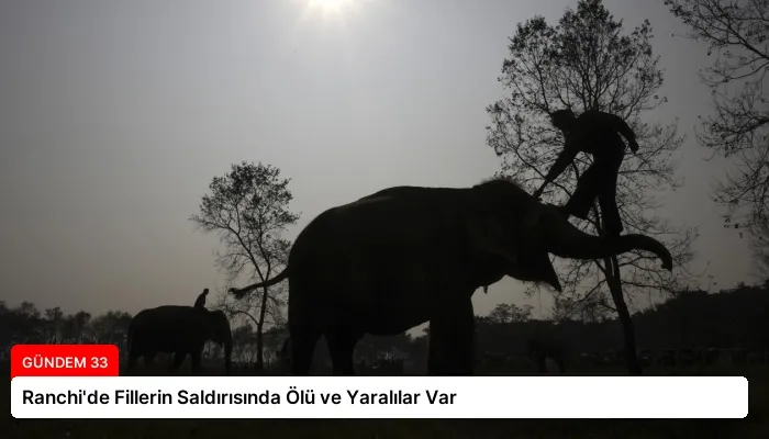 Ranchi’de Fillerin Saldırısında Ölü ve Yaralılar Var