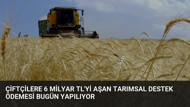 Çiftçilere 6 Milyar TL’yi Aşan Tarımsal Destek Ödemesi Bugün Yapılıyor