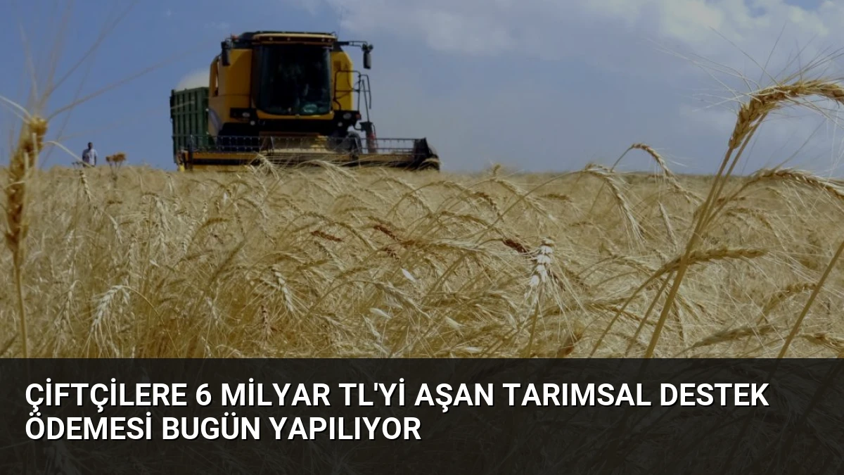 Çiftçilere 6 Milyar TL’yi Aşan Tarımsal Destek Ödemesi Bugün Yapılıyor