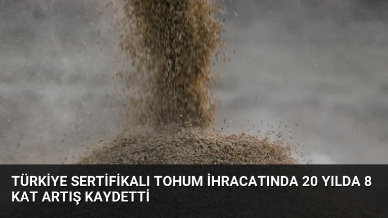 Türkiye Sertifikalı Tohum İhracatında 20 Yılda 8 Kat Artış Kaydetti
