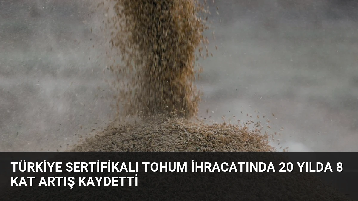 Türkiye Sertifikalı Tohum İhracatında 20 Yılda 8 Kat Artış Kaydetti