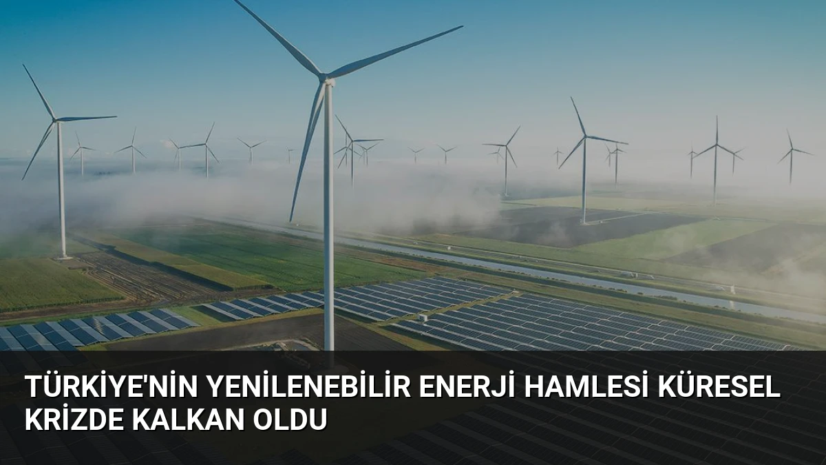 Türkiye’nin Yenilenebilir Enerji Hamlesi Küresel Krizde Kalkan Oldu