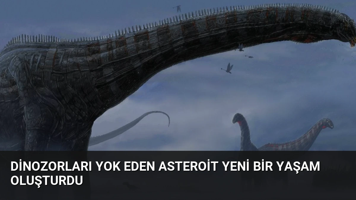 Dinozorları Yok Eden Asteroit Yeni Bir Yaşam Oluşturdu