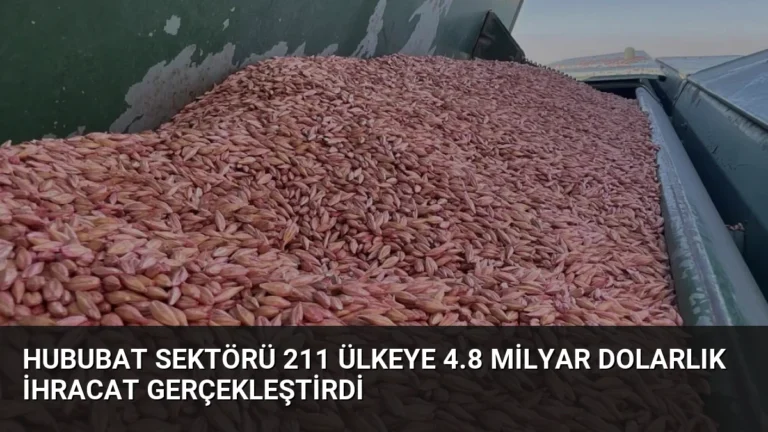 Hububat Sektörü 211 Ülkeye 4.8 Milyar Dolarlık İhracat Gerçekleştirdi