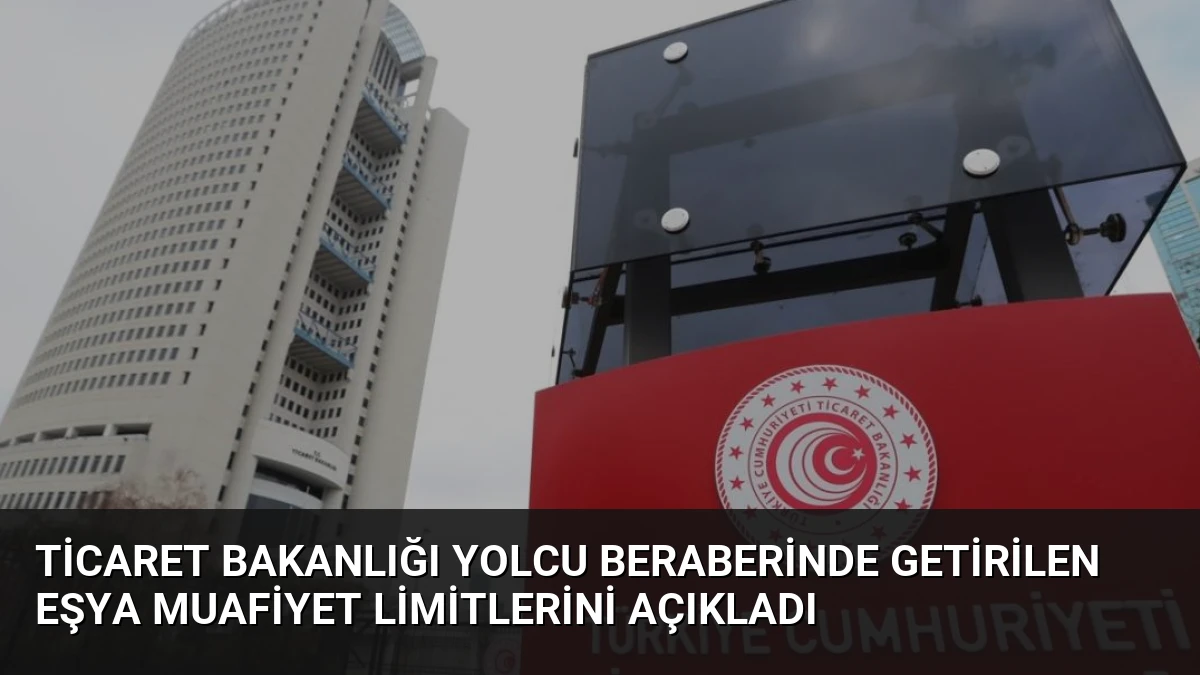 Ticaret Bakanlığı Yolcu Beraberinde Getirilen Eşya Muafiyet Limitlerini Açıkladı
