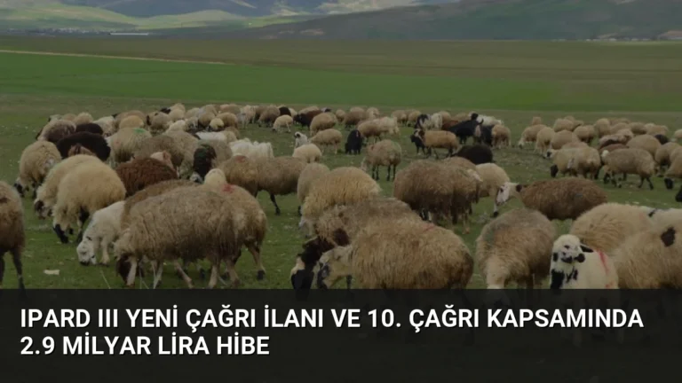 IPARD III Yeni Çağrı İlanı ve 10. Çağrı Kapsamında 2.9 Milyar Lira Hibe