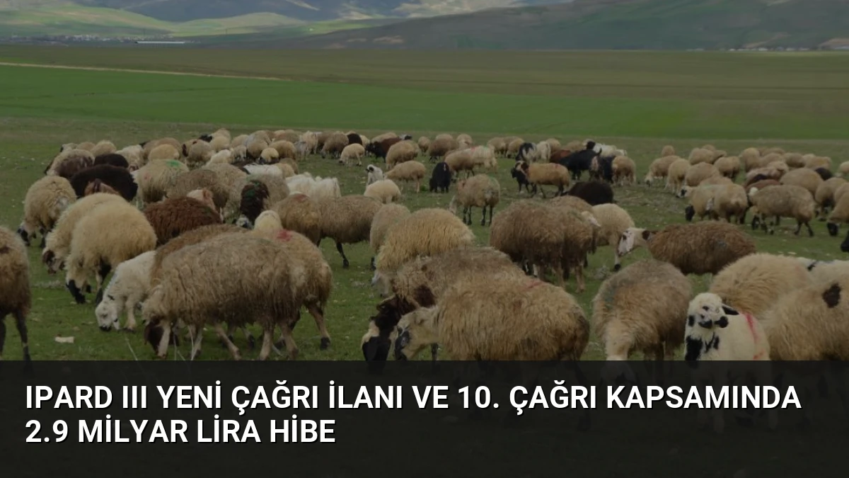 IPARD III Yeni Çağrı İlanı ve 10. Çağrı Kapsamında 2.9 Milyar Lira Hibe