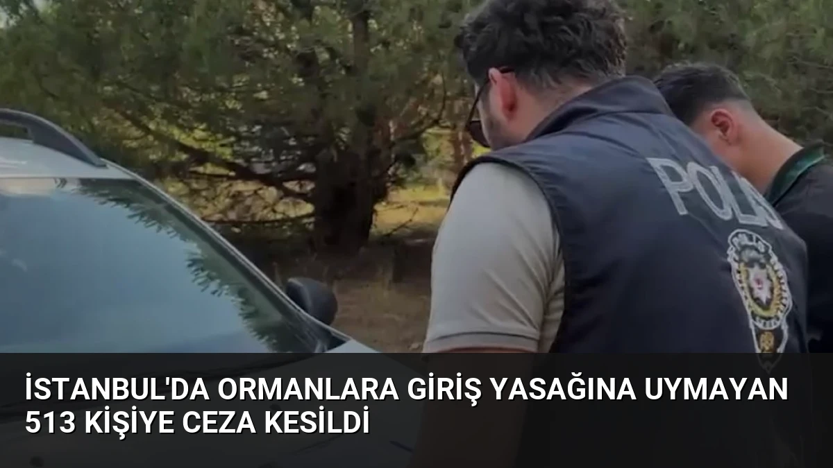 İstanbul’da Ormanlara Giriş Yasağına Uymayan 513 Kişiye Ceza Kesildi