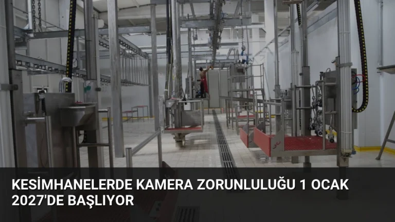 Kesimhanelerde Kamera Zorunluluğu 1 Ocak 2027’de Başlıyor