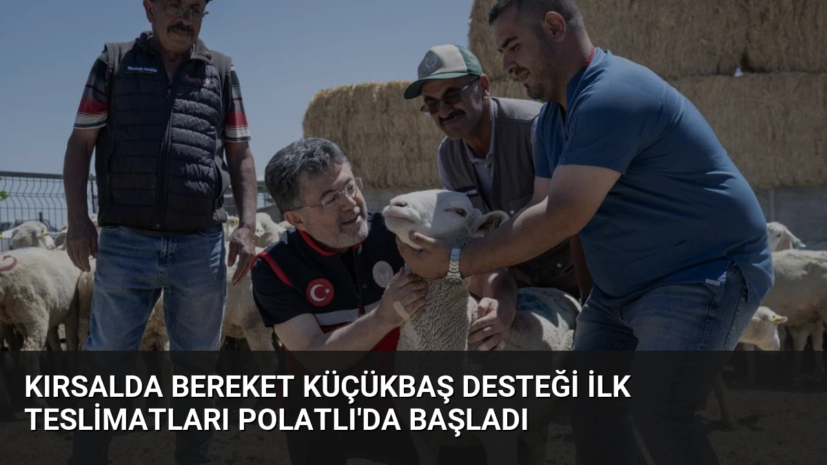 Kırsalda Bereket Küçükbaş Desteği İlk Teslimatları Polatlı’da Başladı