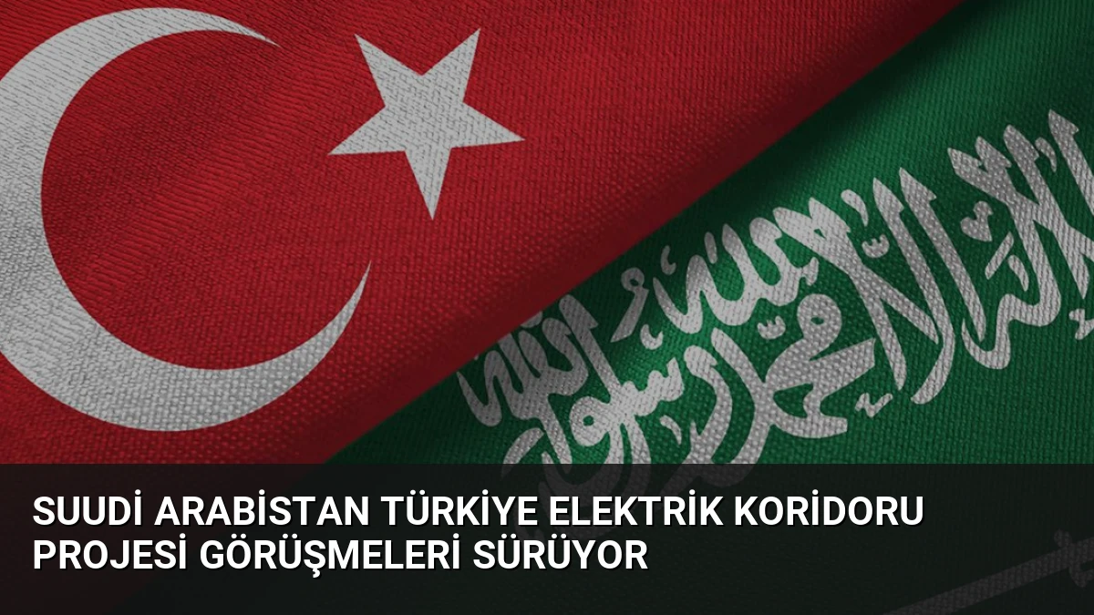 Suudi Arabistan Türkiye Elektrik Koridoru Projesi Görüşmeleri Sürüyor