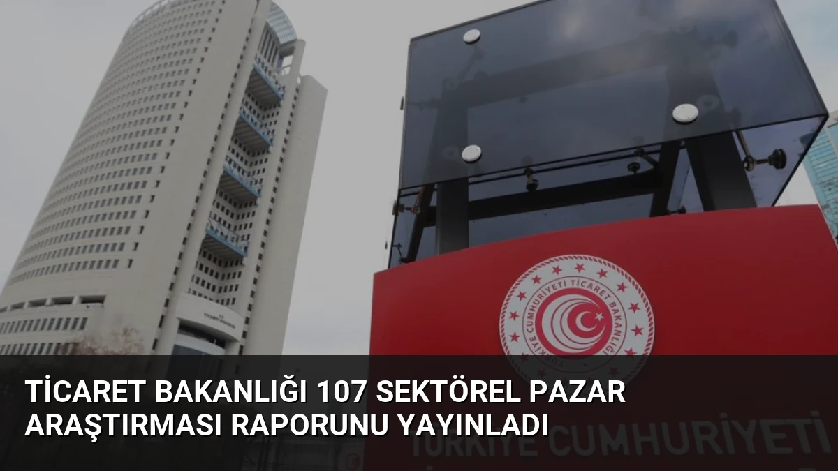 Ticaret Bakanlığı 107 Sektörel Pazar Araştırması Raporunu Yayınladı