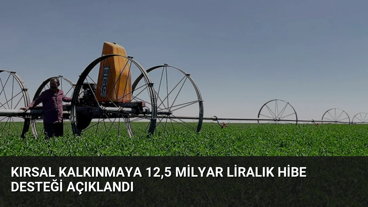Kırsal Kalkınmaya 12,5 Milyar Liralık Hibe Desteği Açıklandı