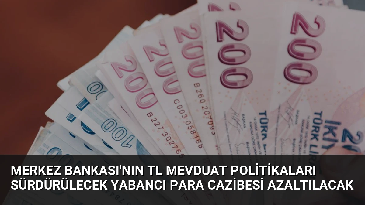 Merkez Bankası’nın TL Mevduat Politikaları Sürdürülecek Yabancı Para Cazibesi Azaltılacak
