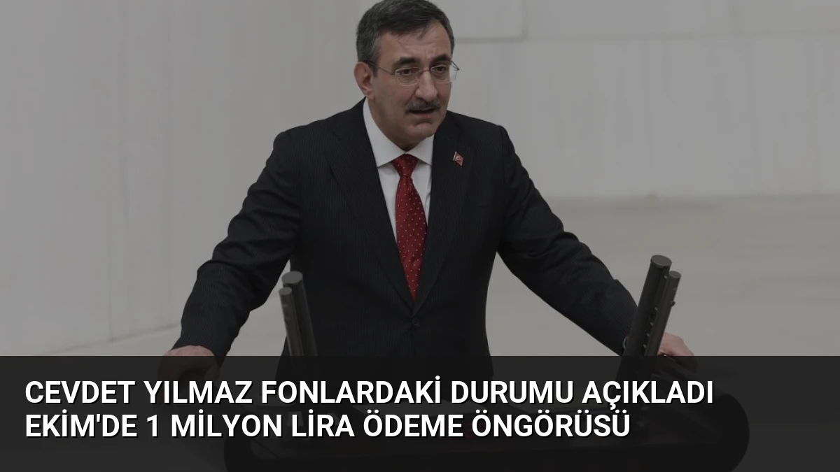 Cevdet Yılmaz Fonlardaki Durumu Açıkladı Ekim’de 1 Milyon Lira Ödeme Öngörüsü