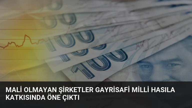 Mali Olmayan Şirketler Gayrisafi Milli Hasıla Katkısında Öne Çıktı