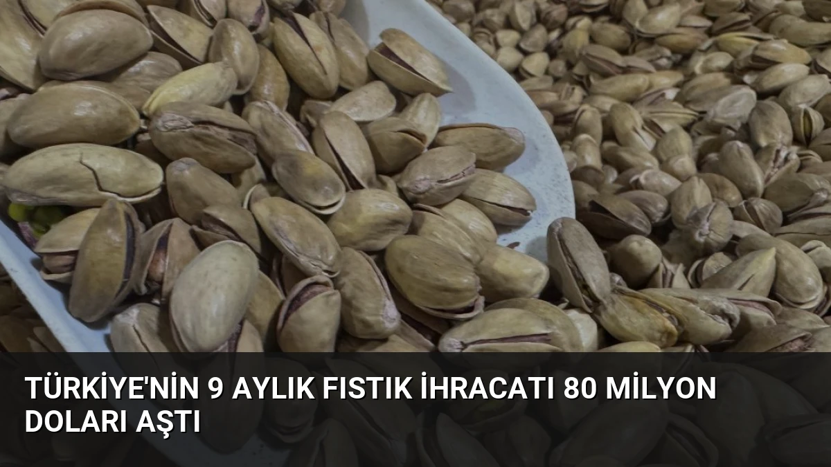 Türkiye’nin 9 Aylık Fıstık İhracatı 80 Milyon Doları Aştı