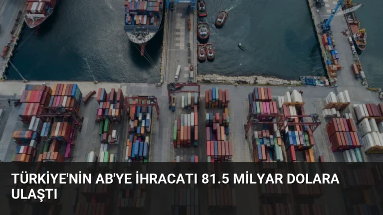 Türkiye’nin AB’ye İhracatı 81.5 Milyar Dolara Ulaştı
